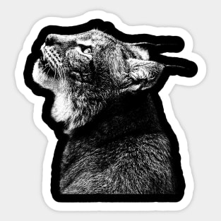 Lynx / Risograph Artwork Sticker